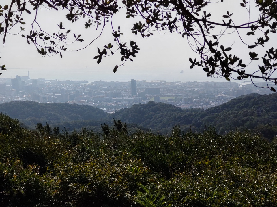 DSC_3032_mid.jpg