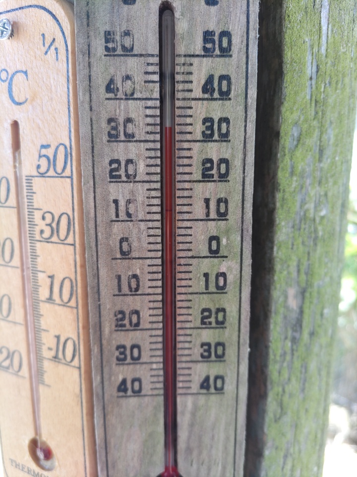 DSC_3049_mid.jpg