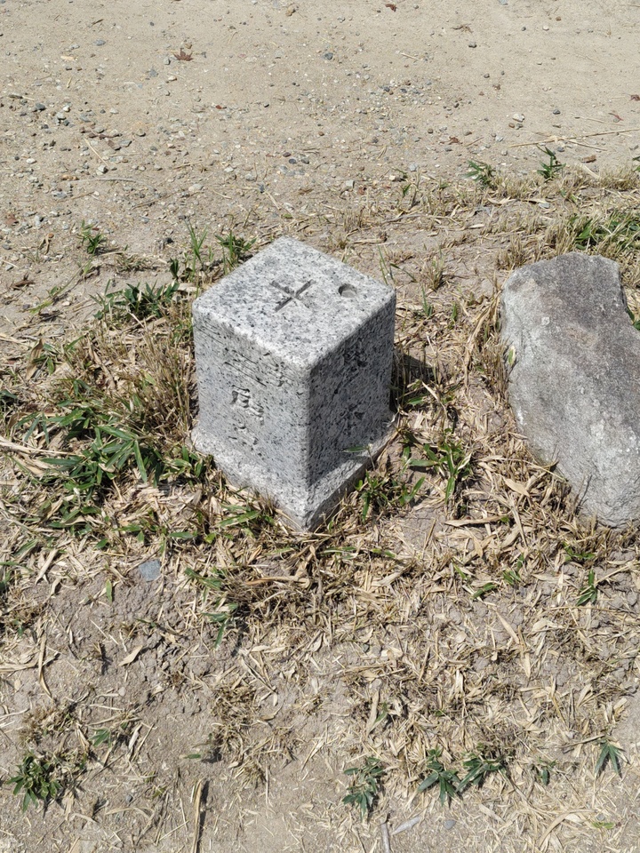 DSC_3061_mid.jpg