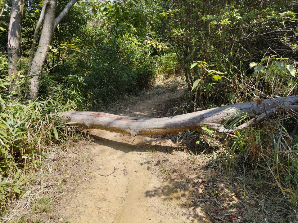DSC_3065_mid.jpg