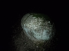 DSC_3133_thumb.png