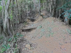 DSC_3145_thumb.png