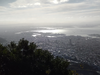 DSC_3156_thumb.png
