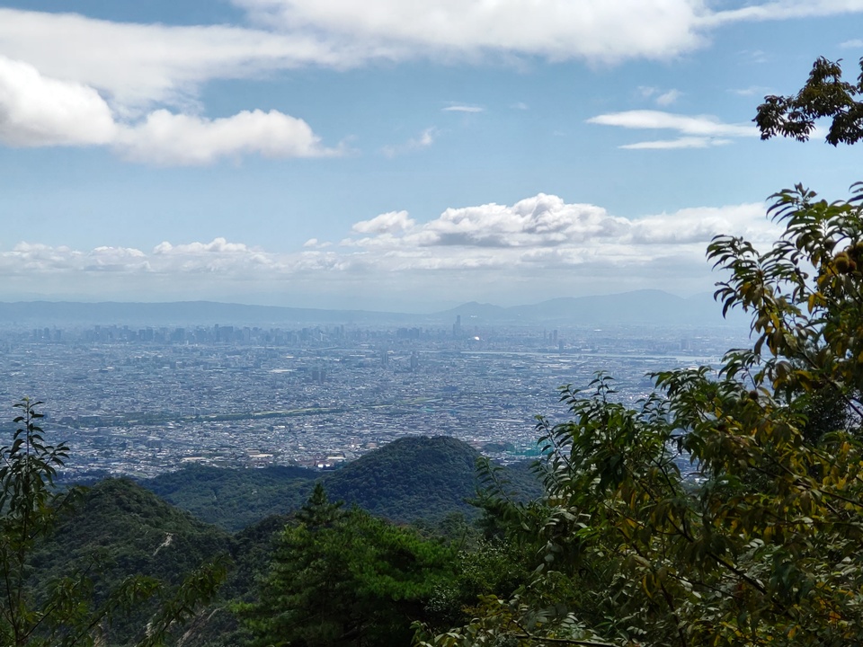 DSC_3167_mid.jpg