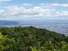 DSC_3171_thumb.png