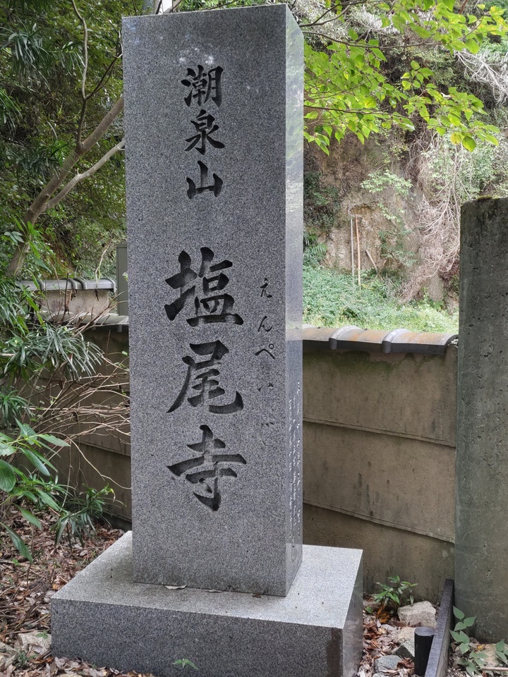 DSC_3173_mid.jpg