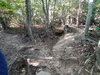 DSC_3282_thumb.png