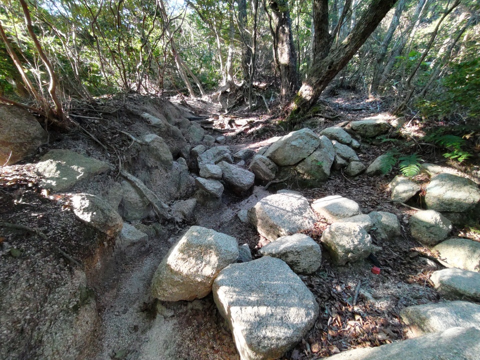 DSC_3285_mid.jpg