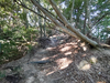 DSC_3286_thumb.png