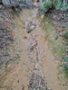 DSC_3290_thumb.png