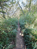 DSC_3300_thumb.png