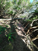 DSC_3302_thumb.png