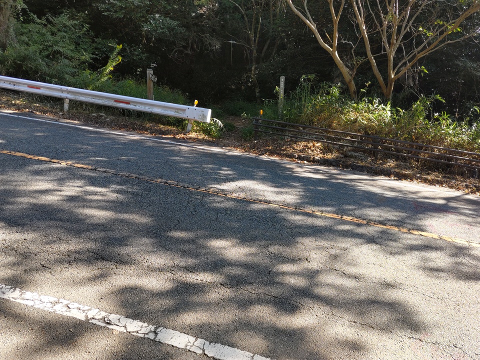 DSC_3306_mid.jpg