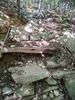DSC_3310_thumb.png