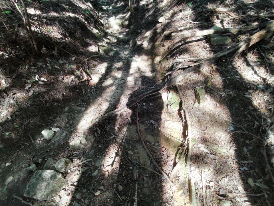DSC_3317_mid.jpg