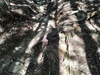 DSC_3317_thumb.png