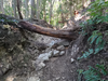 DSC_3320_thumb.png