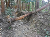 DSC_3324_thumb.png