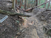 DSC_3328_thumb.png