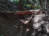 DSC_3334_thumb.png