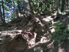 DSC_3341_thumb.png