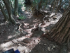 DSC_3344_thumb.png