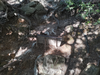 DSC_3345_thumb.png