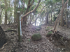 DSC_3363_thumb.png