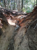 DSC_3368_thumb.png