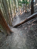 DSC_3370_thumb.png