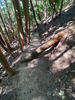 DSC_3372_thumb.png