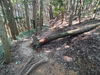 DSC_3377_thumb.png