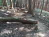 DSC_3380_thumb.png