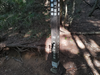 DSC_3383_thumb.png