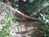 DSC_3389_thumb.png
