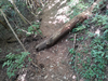 DSC_3392_thumb.png