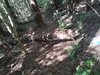 DSC_3394_thumb.png