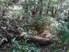 DSC_3400_thumb.png