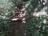 DSC_3408_thumb.png