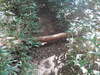 DSC_3411_thumb.png