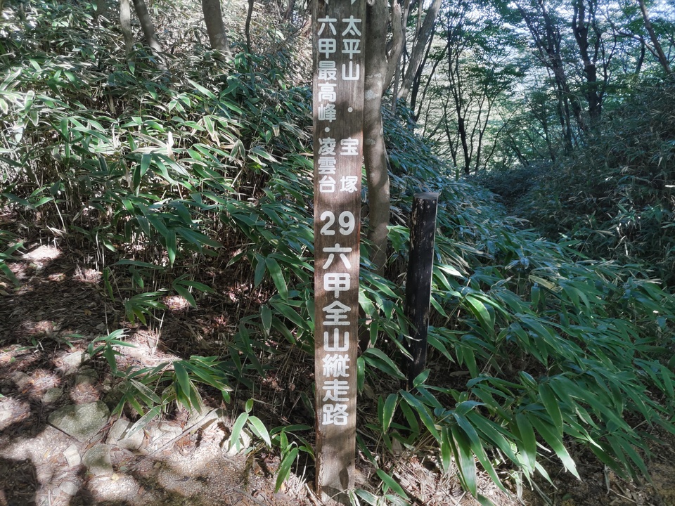 DSC_3413_mid.jpg