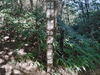 DSC_3413_thumb.png