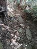 DSC_3415_thumb.png