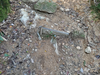 DSC_3416_thumb.png