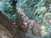 DSC_3446_thumb.png