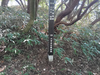 DSC_3454_thumb.png