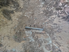 DSC_3458_thumb.png