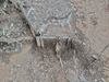 DSC_3461_thumb.png