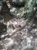 DSC_3474_thumb.png