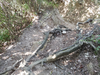 DSC_3476_thumb.png